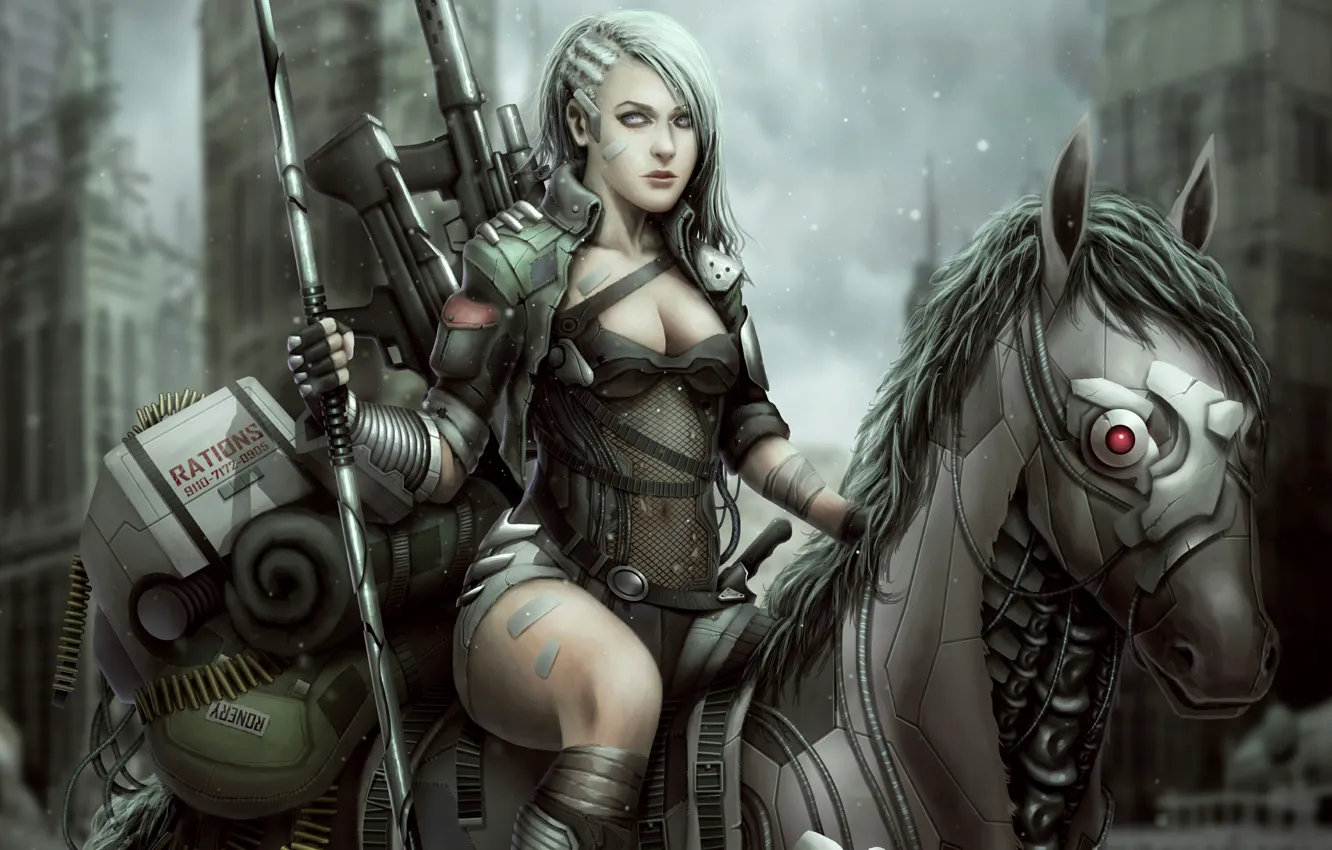 Photo wallpaper girl, weapons, horse, horse, cartridges, machines