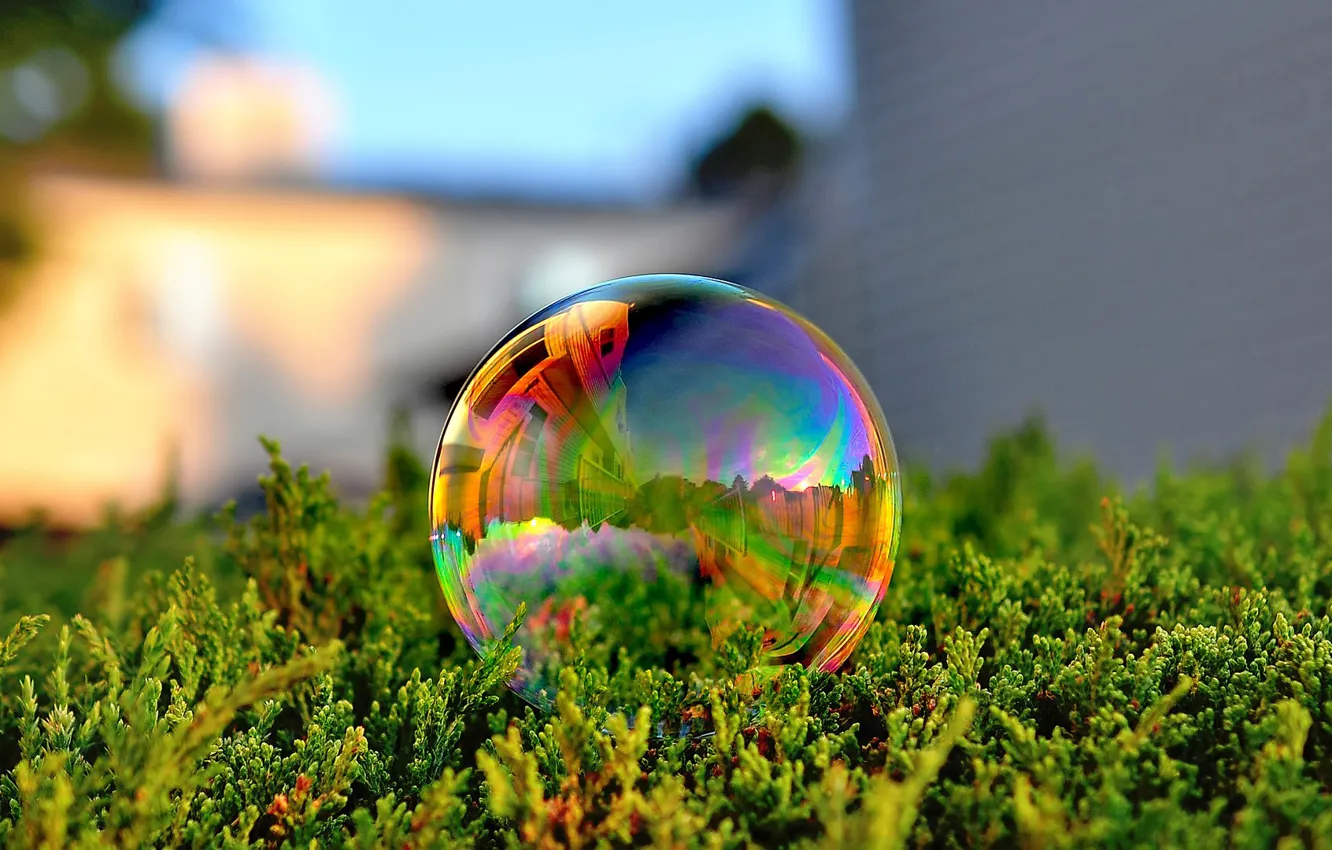 Photo wallpaper green, grass, photo, macro, color, reflection, Bubble, soap bubble