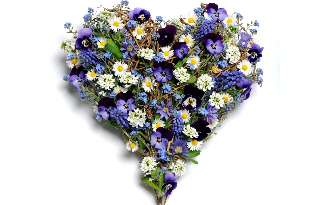 Photo wallpaper photo, Flowers, Heart, Chamomile, Pansy, Hellebore