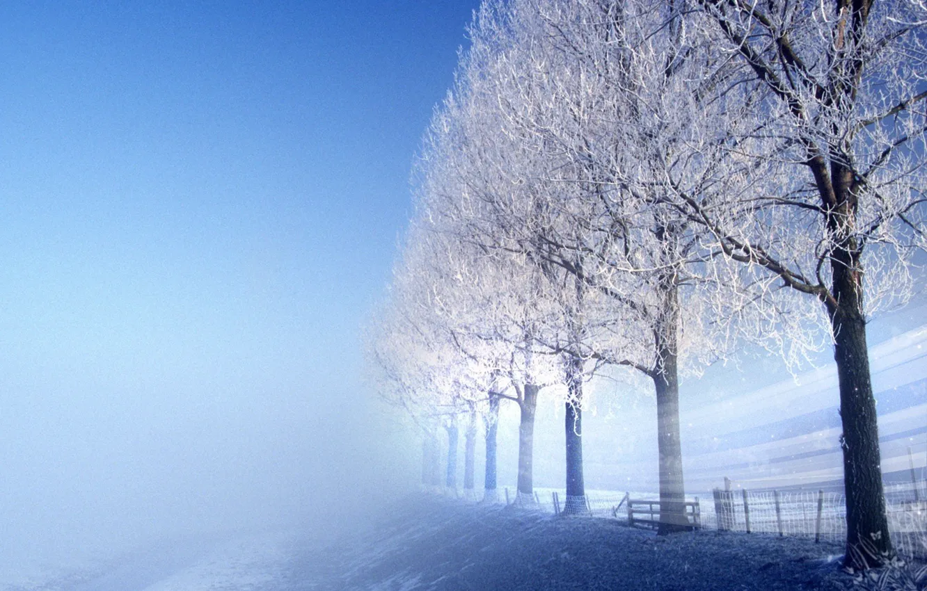 Photo wallpaper cold, ice, winter, frost, road