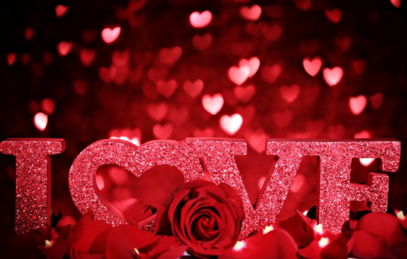 Wallpaper love, flowers, heart, rose images for desktop, section цветы -  download