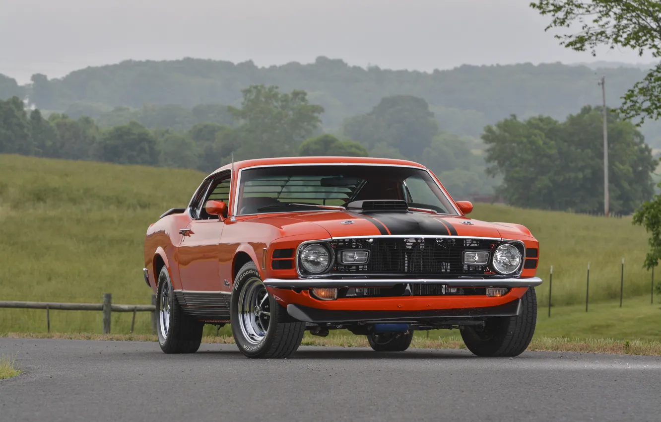 Photo wallpaper Mustang, Ford, Mustang, Ford, 1970, Mach 1, 428, Super Cobra Jet
