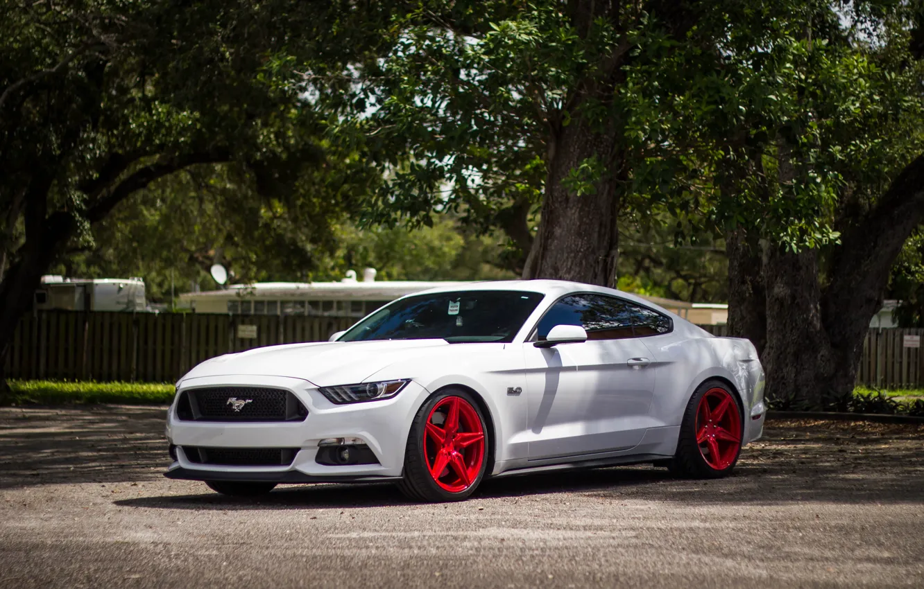 Photo wallpaper Mustang, Ford, Incurve, LP-5