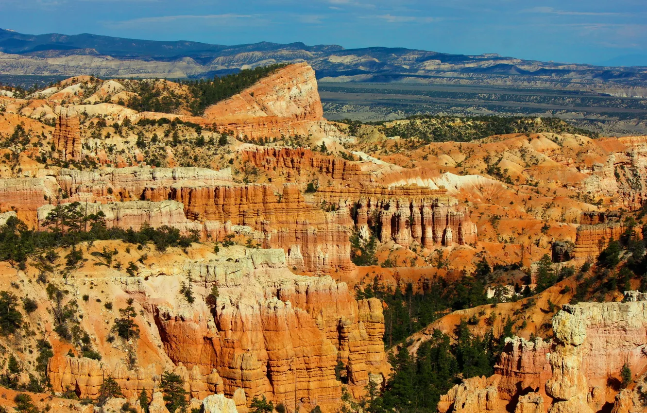 Photo wallpaper forest, mountains, reserve, Bryce Canyon National Park