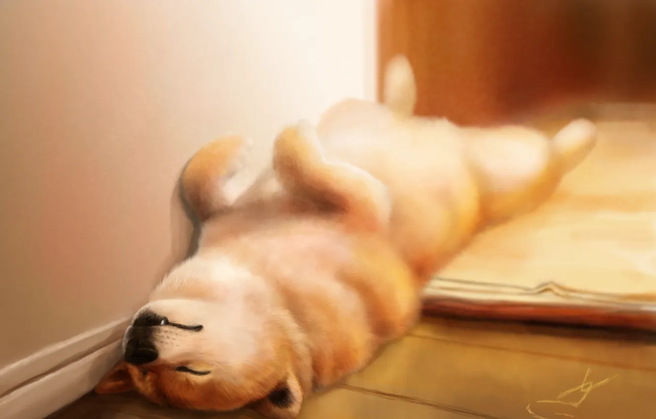 Wallpaper house, sleep, dog, art, sleeping, puppy, on the floor images for  desktop, section собаки - download