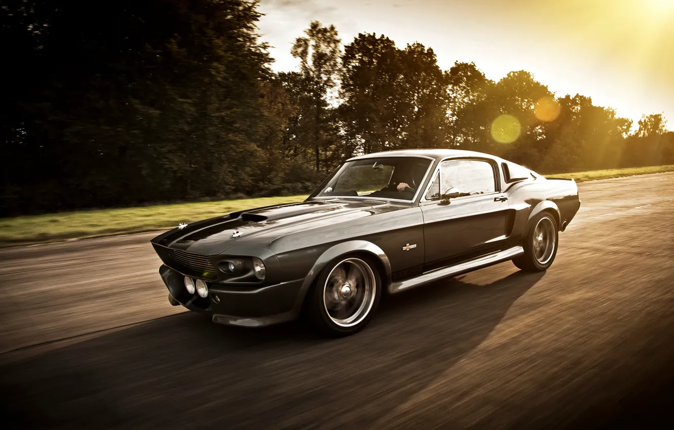 Photo wallpaper road, Mustang, Ford, GT500, Ford Mustang, Shelby Eleanor