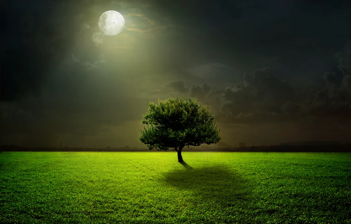 Photo wallpaper green, moon, grass, sky, field, night, clouds, tree, moonlight