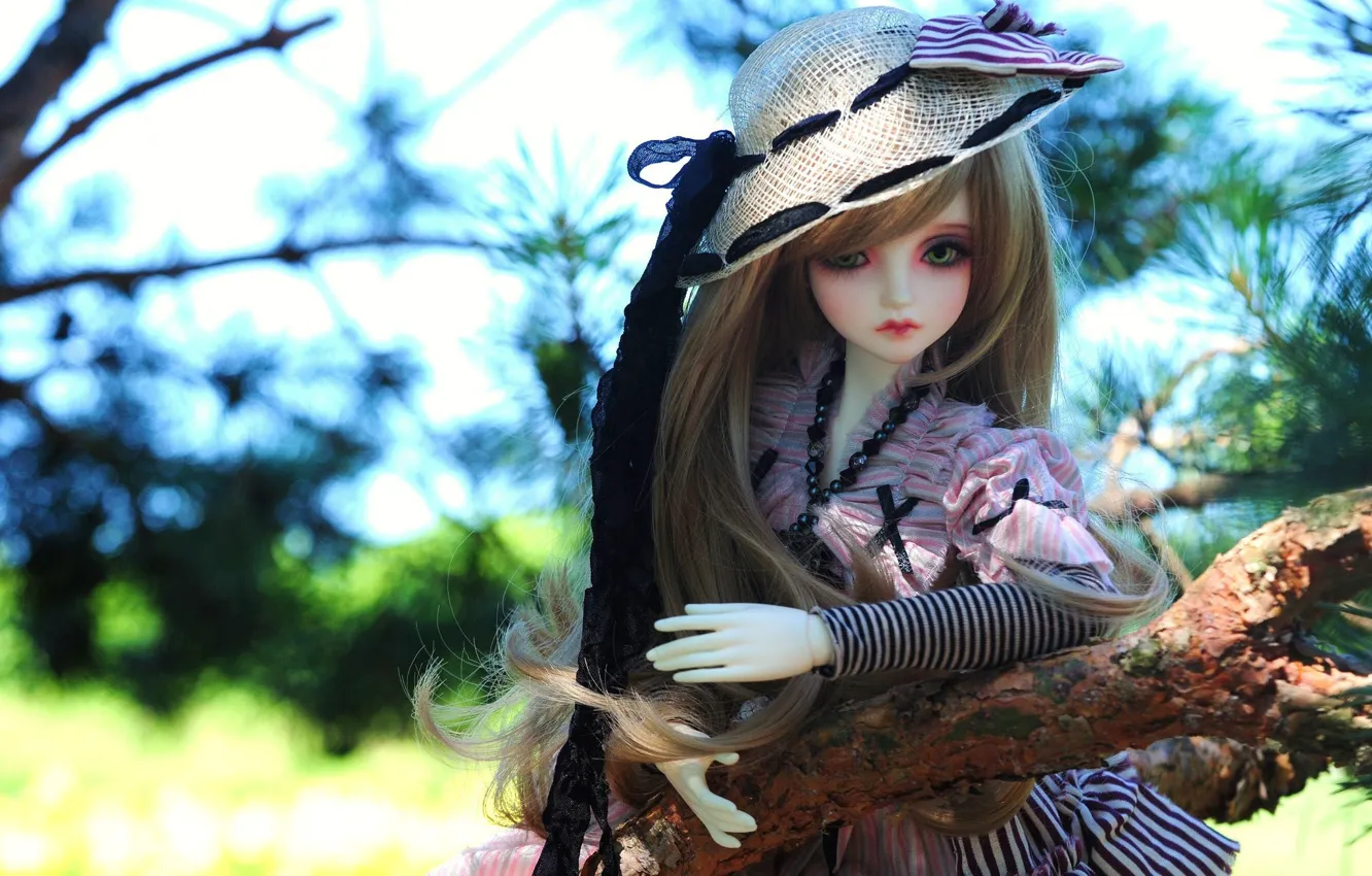 Doll Toy Hat Nature Hd Wallpaper