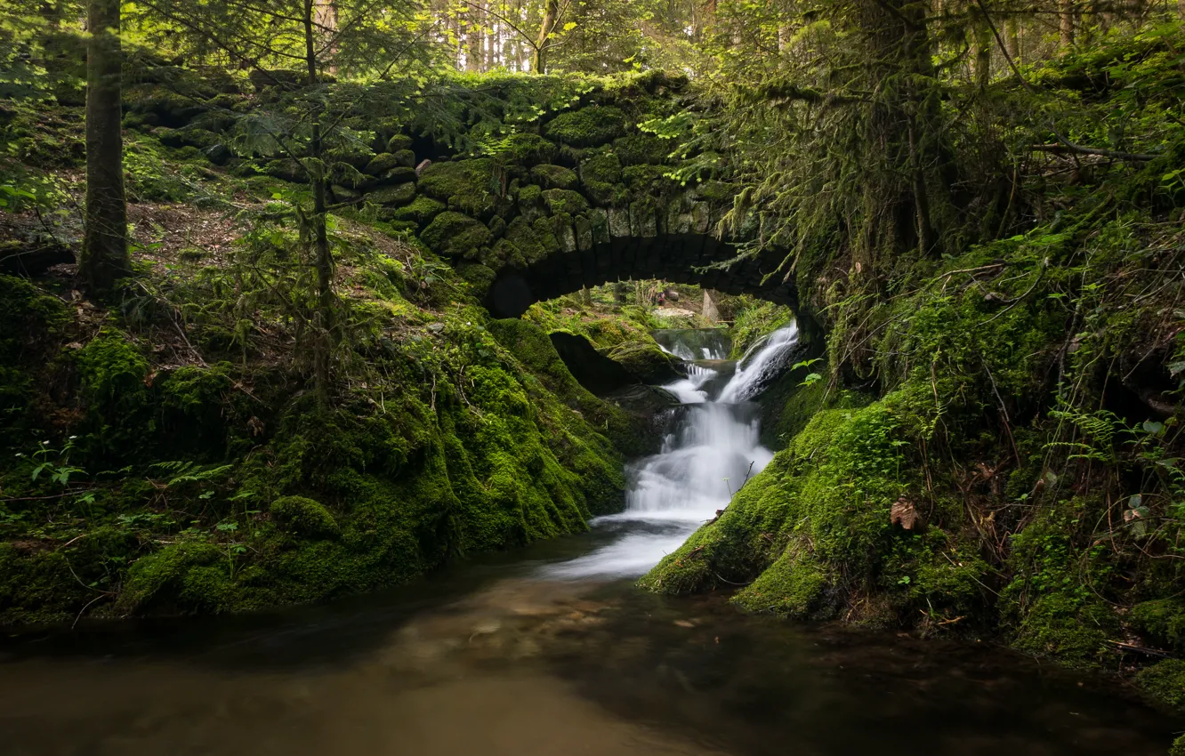 Wallpaper forest, bridge, stream, Germany, river, cascade, Germany, Black  Forest, The black forest images for desktop, section природа - download