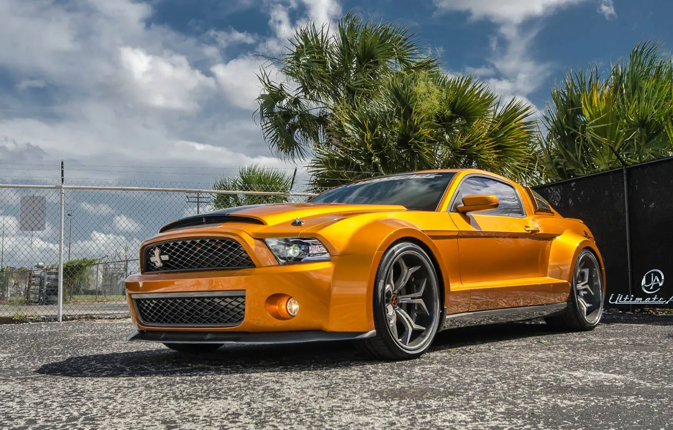 Photo wallpaper Mustang, Ford, Shelby, GT500, muscle car, front, orange, Su...