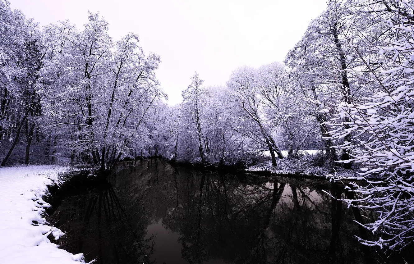 Photo wallpaper winter, forest, water, snow, trees, nature, river