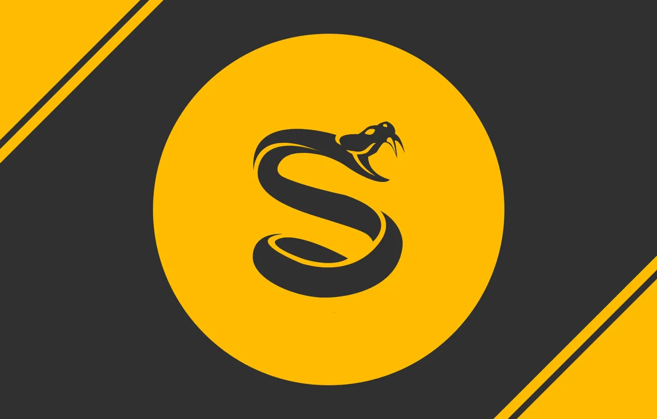 Wallpaper logo, snake, yellow, splyce csgo images for desktop, section  минимализм - download