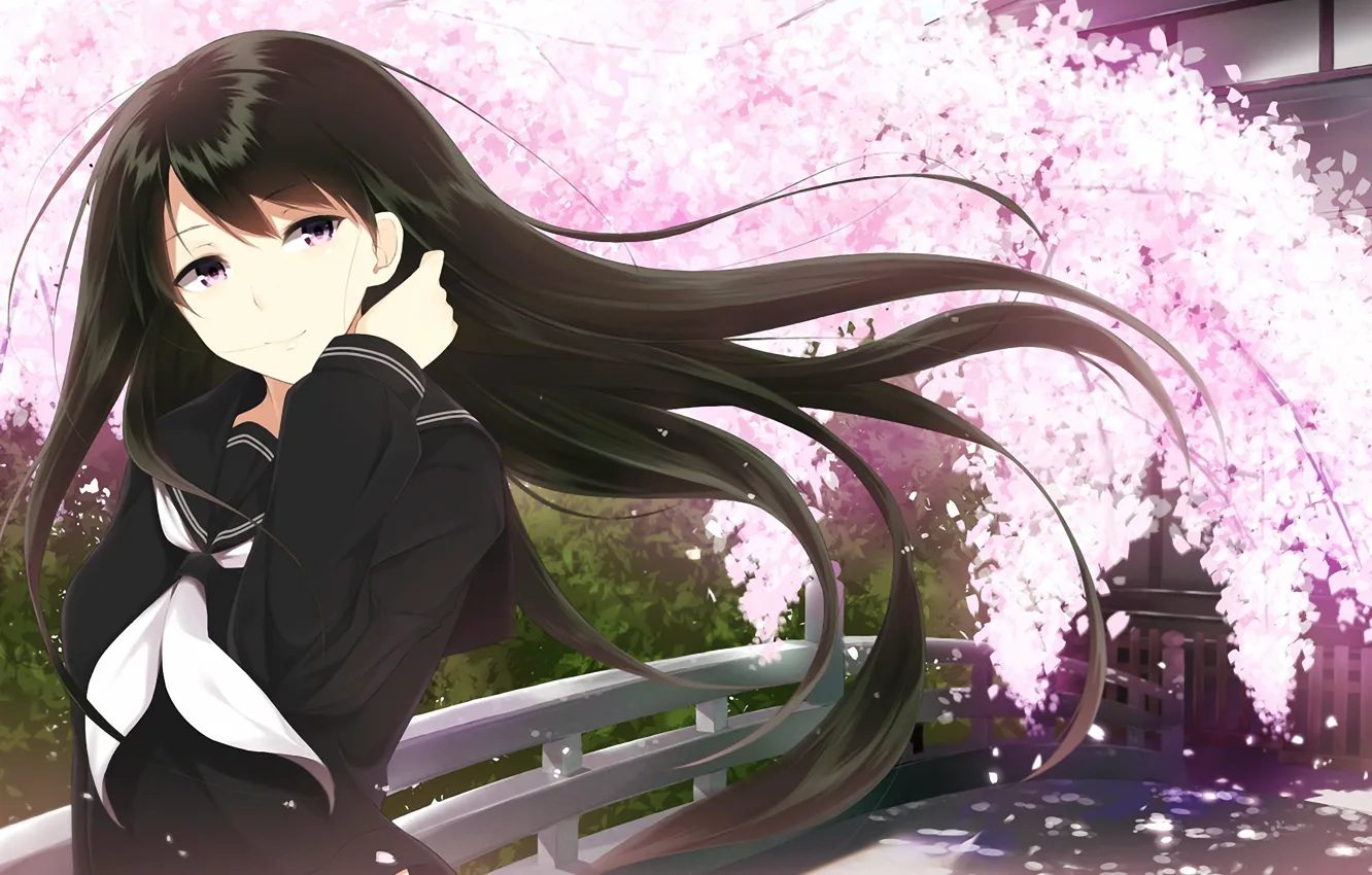 Photo wallpaper the sky, girl, petals, Sakura, The wind, Anime, black hair, school uniform, long hair, cherry, …