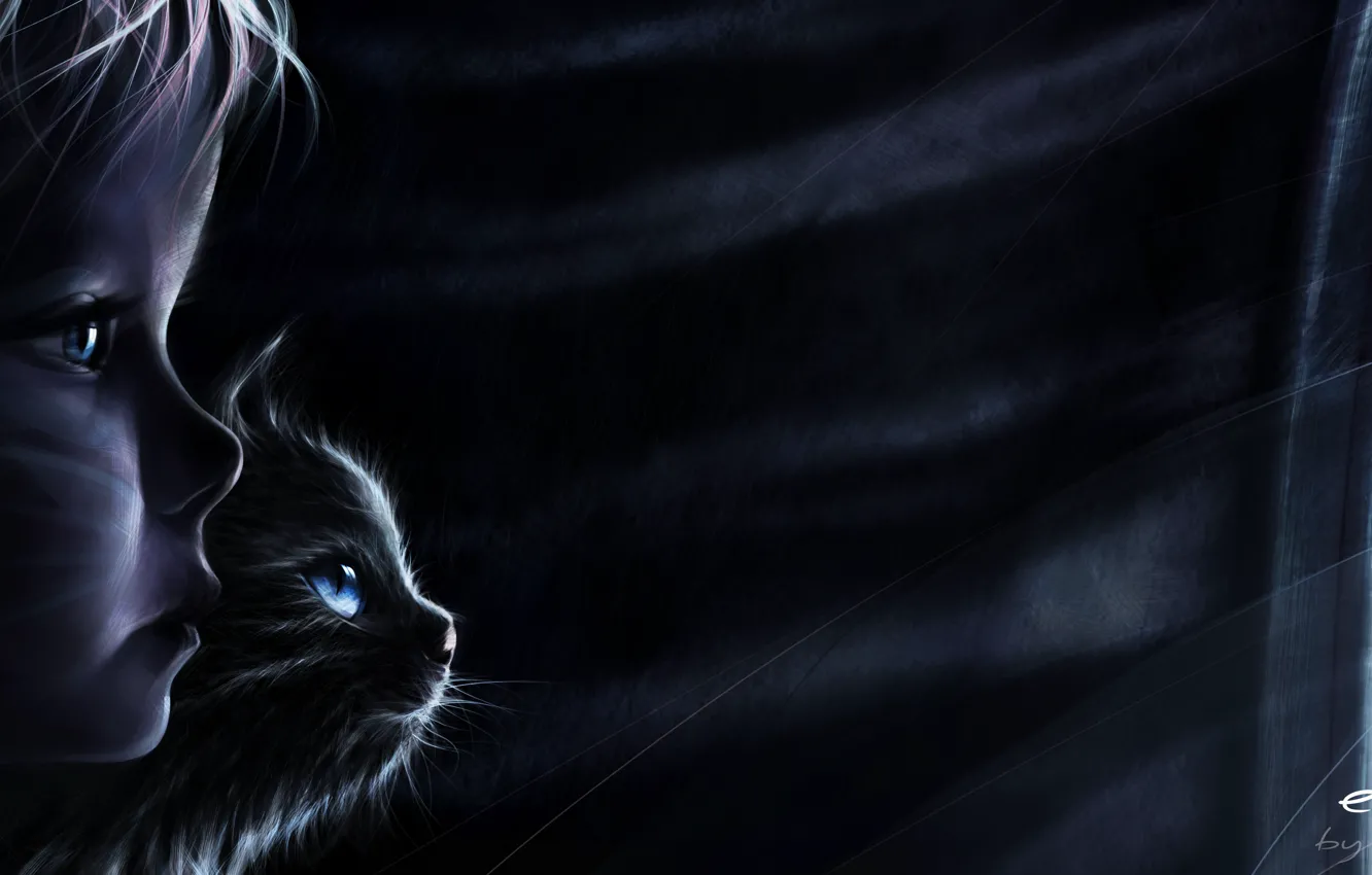 Wallpaper cat, night, rain, the wind, mystery, window, shadows, escape  images for desktop, section живопись - download