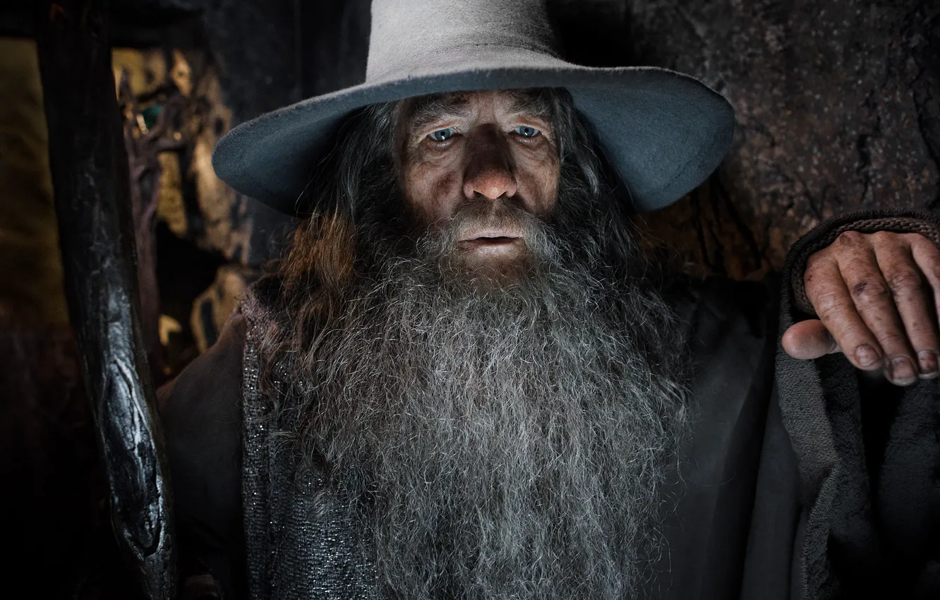 Photo wallpaper Gandalf, Ian McKellen, The Hobbit, Lord of the Rings, magician, gray beard