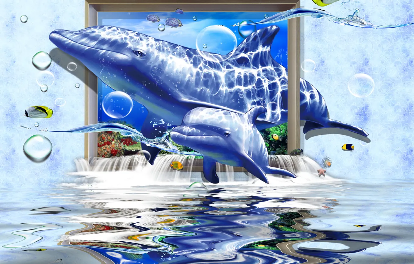 Wallpaper Dolphin, Underwater world images for desktop, section животные -  download