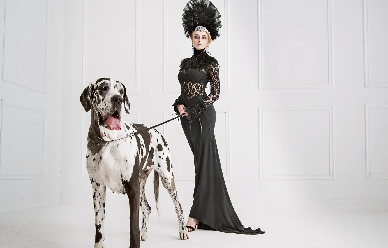 Wallpaper decoration, pose, dog, feathers, makeup, figure, slim, dress,  hairstyle, blonde, outfit, Dalmatian, in black, sexy images for desktop,  section стиль - download