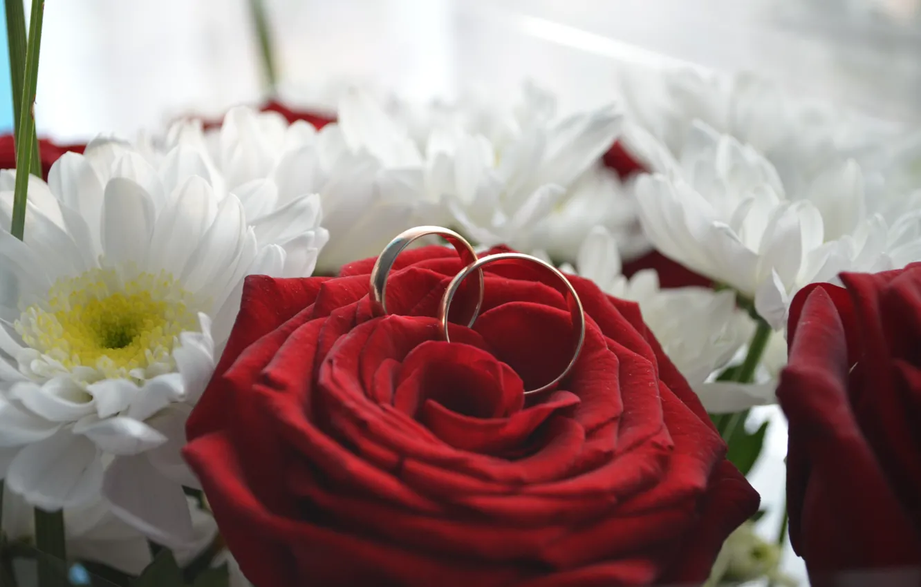 Wallpaper flowers, ring, wedding images for desktop, section цветы ...