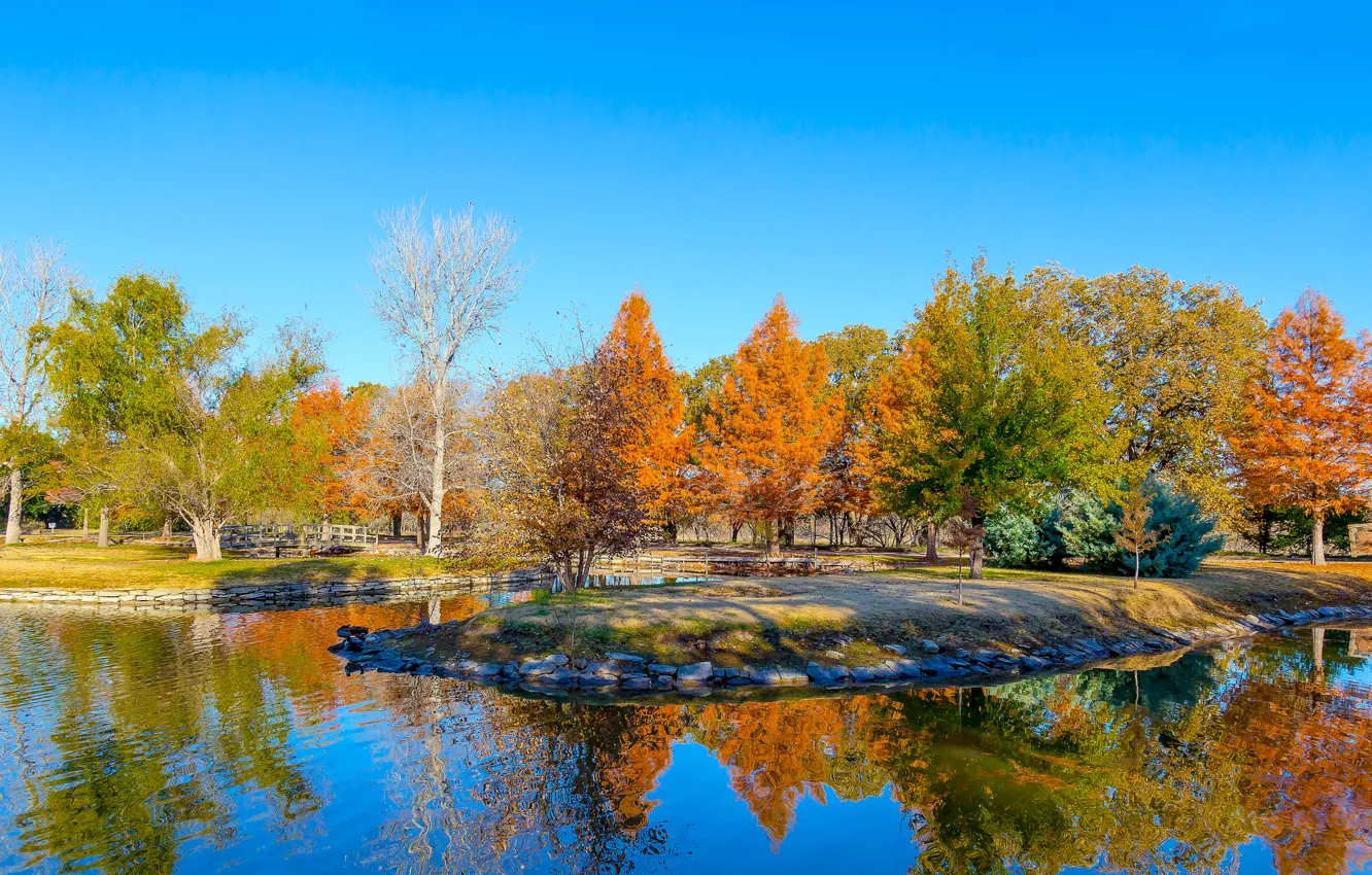 Wallpaper Leaves Trees Pond Usa Texas Clark Gardens