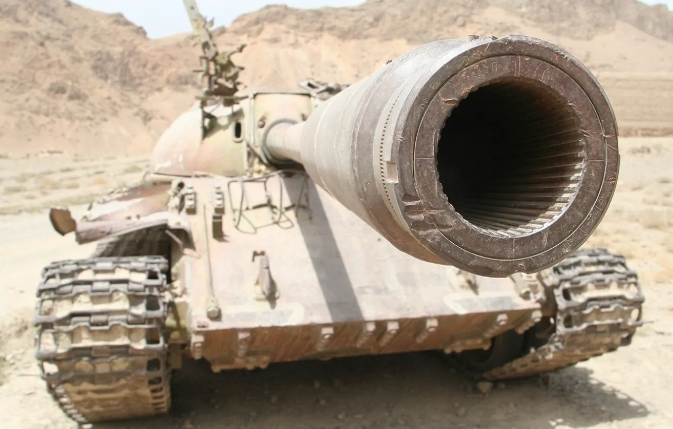 Photo wallpaper Trunk, Weapons, Tank, The barrel