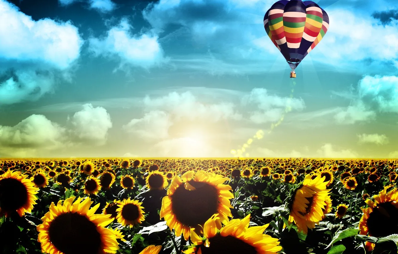 Photo wallpaper field, flight, sunflowers, landscape, life, balloon, sunrise, dawn