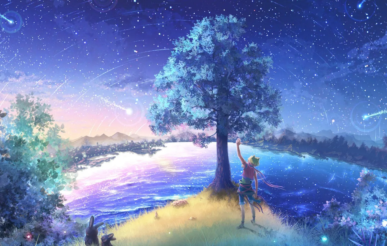 Wallpaper the sky, night, nature, stars, anime, art images for desktop,  section прочее - download