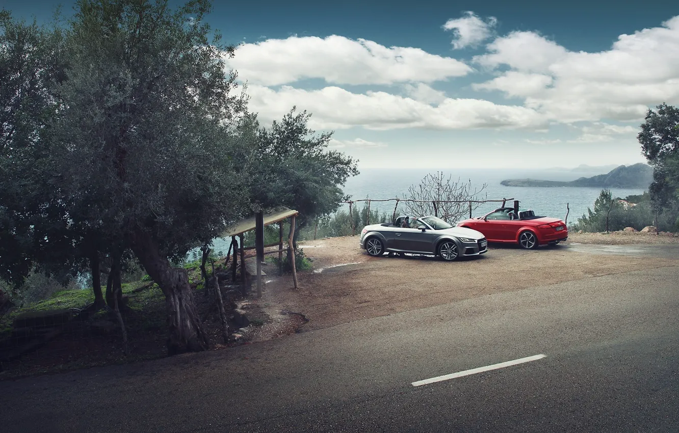 Photo wallpaper Audi, Roadster, Red, Cars, Quattro, Spain, Silver