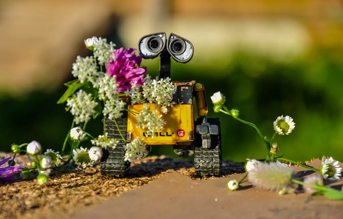 Wallpaper summer, flowers, WALL-E, WALL-E images for desktop, section  фильмы - download
