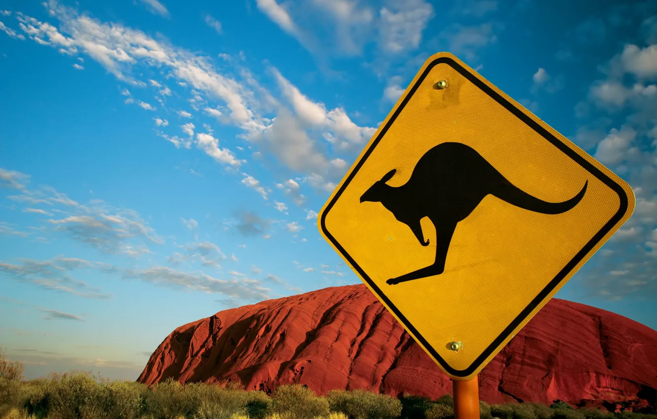 Wallpaper sign, Australia, 152, kangaroo images for desktop, section  ситуации - download
