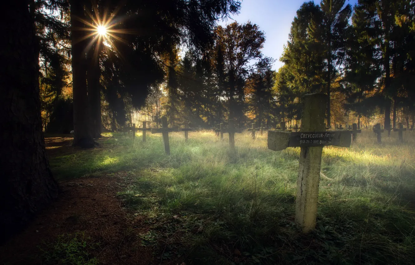 Photo wallpaper light, cross, morning, cemetery