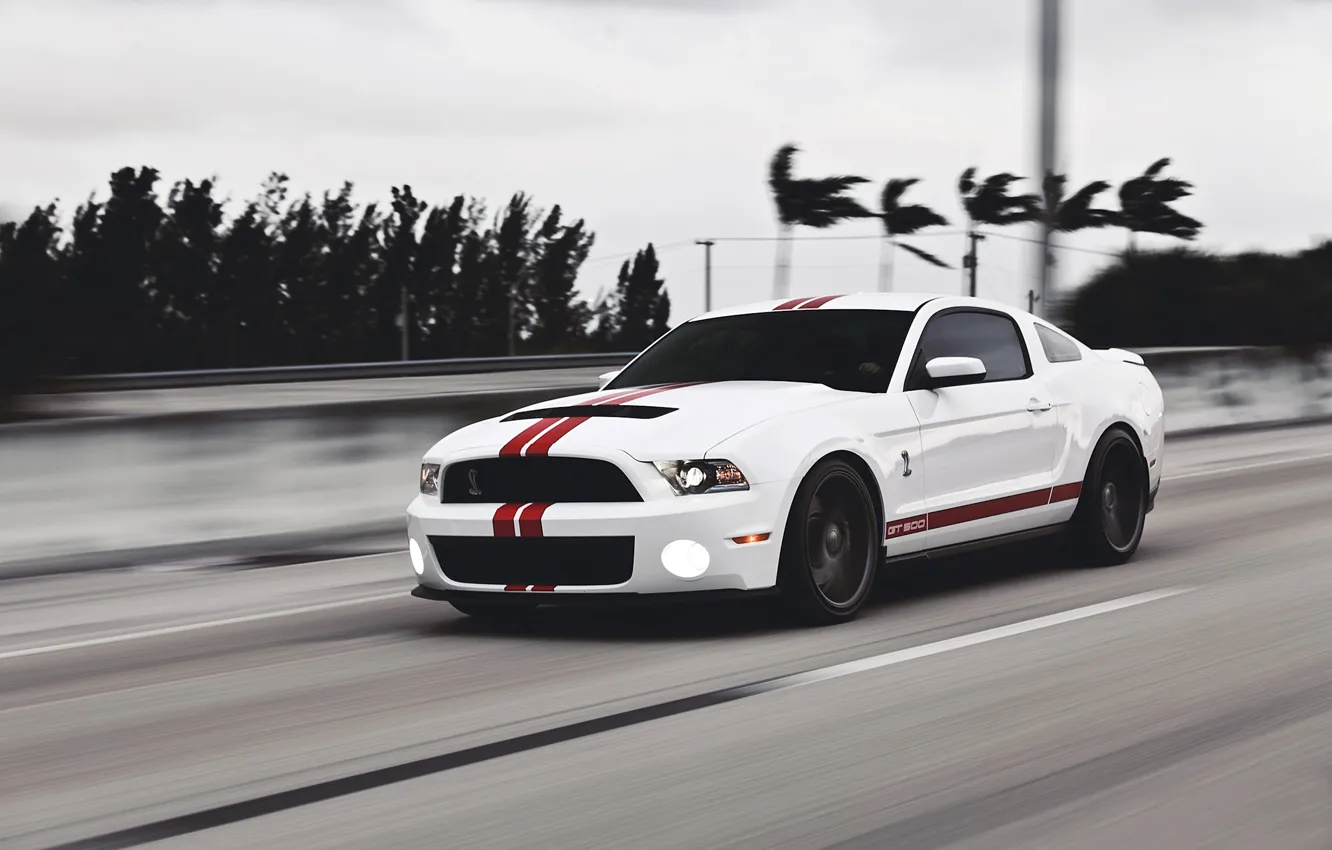 Photo wallpaper road, white, speed, Mustang, Ford, Shelby, Mustang, muscle car, Ford, muscle car, gt500, red stripes