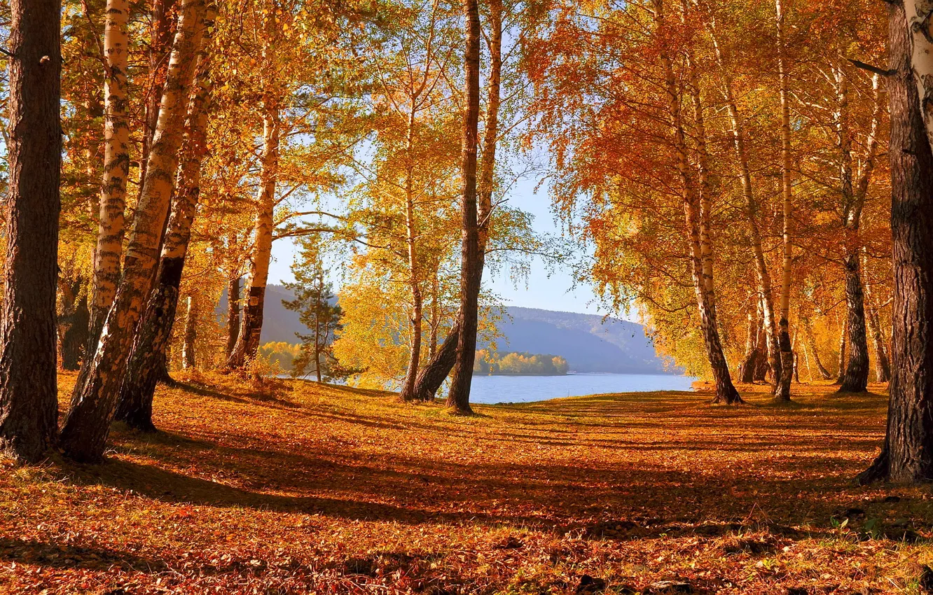 Photo wallpaper autumn, trees, lake, falling leaves, the colors of autumn