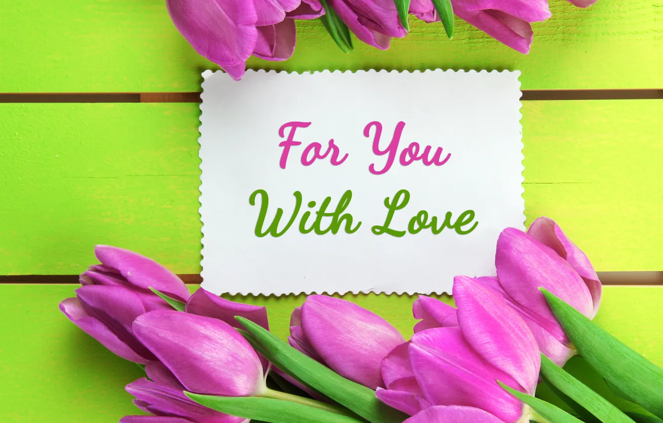 Photo wallpaper flowers, tulips, love, fresh, pink, flowers, tulips, spring, romance