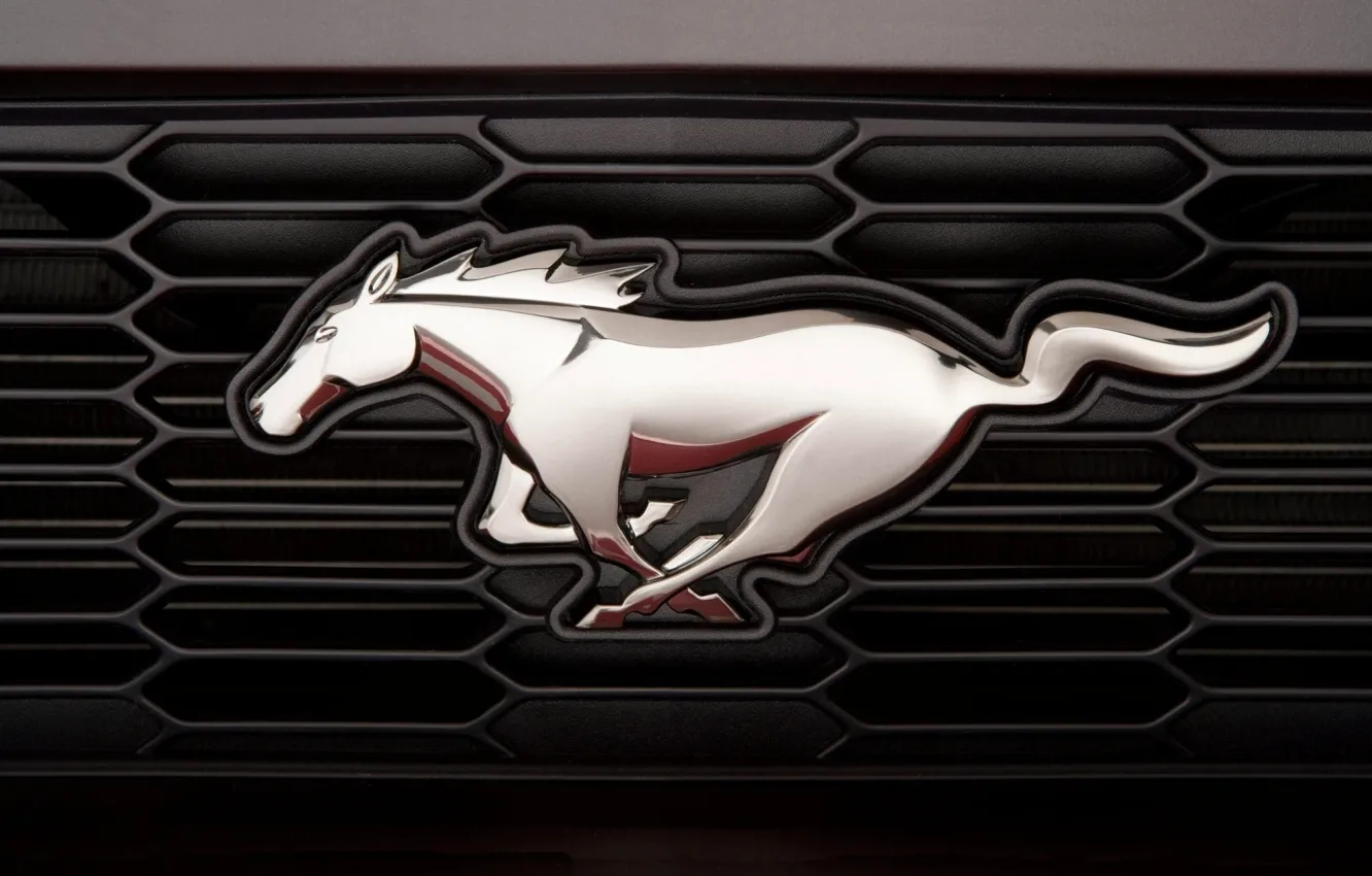 Photo wallpaper macro, horse, horse, mustang, Mustang, emblem, ford, Ford, chrome, grille, label
