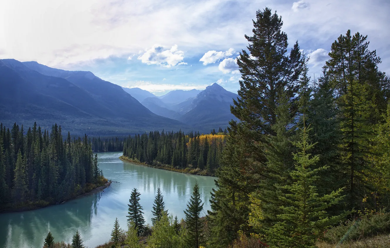 Photo wallpaper forest, the sky, clouds, trees, mountains, lake, river