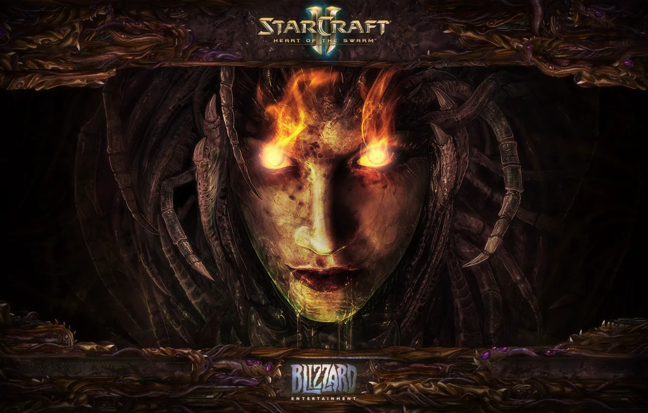 Photo wallpaper Blizzard, Starcraft 2, Heart of The Swarm, StarCraft
