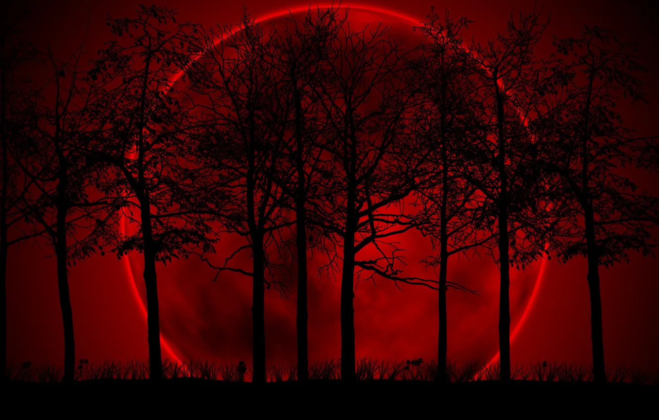 Hình nền đỏ với mặt trăng, bóng tối, đen và cây sẽ đưa bạn vào một thế giới đầy bí ẩn và mộng mơ. Xem hình ảnh để chiêm ngưỡng những vẻ đẹp tuyệt vời trong sự kết hợp hoàn hảo giữa các yếu tố này.