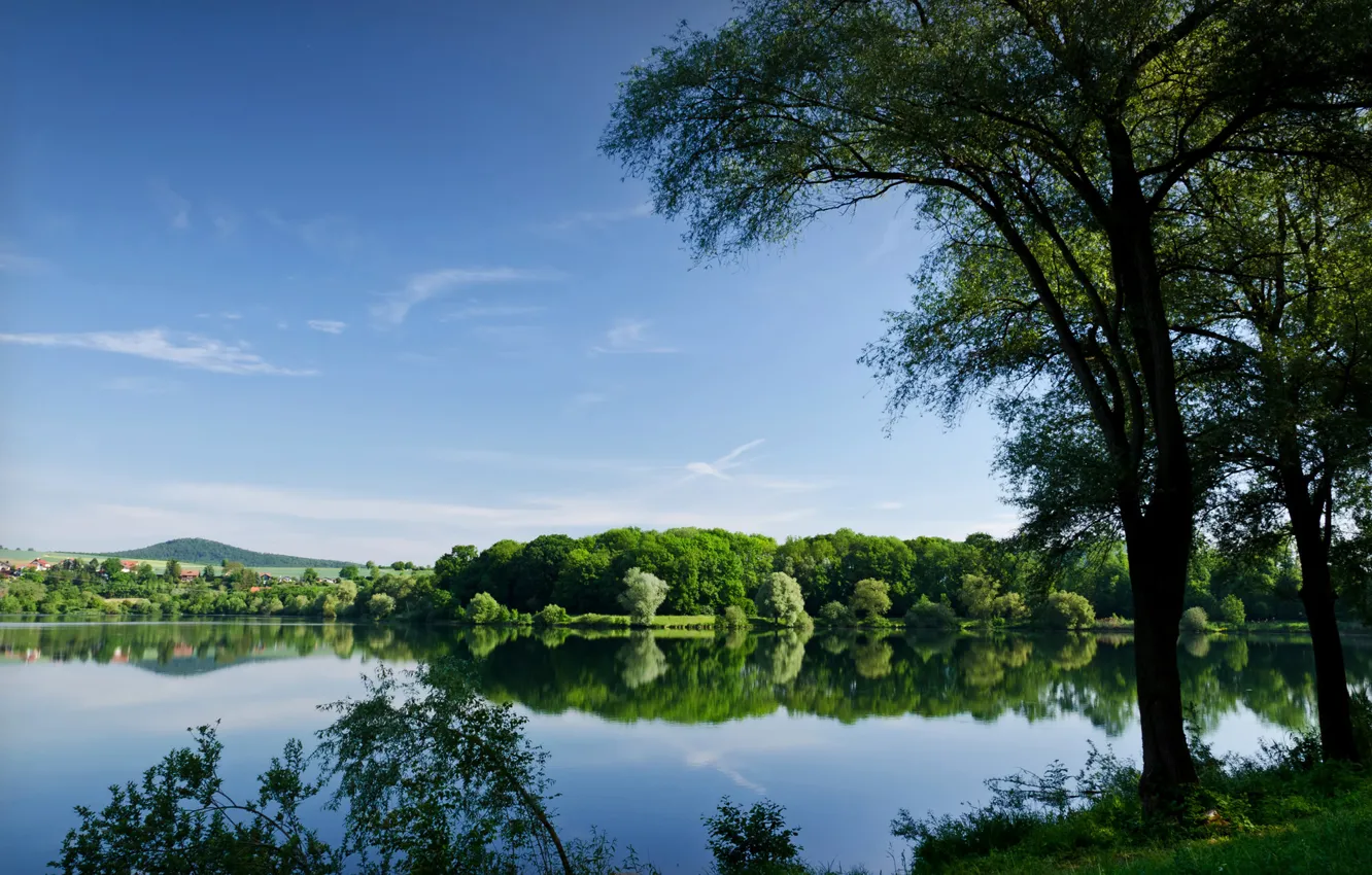 Photo wallpaper summer, trees, lake, reflection, river, pond