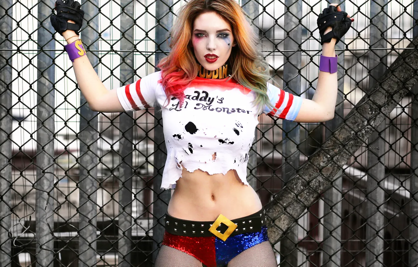 Wallpaper Hannah, Harley Quinn, Cosplay, modelling shoot images for  desktop, section настроения - download