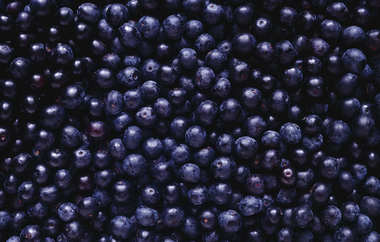 Photo wallpaper berries, black, blueberries, a lot