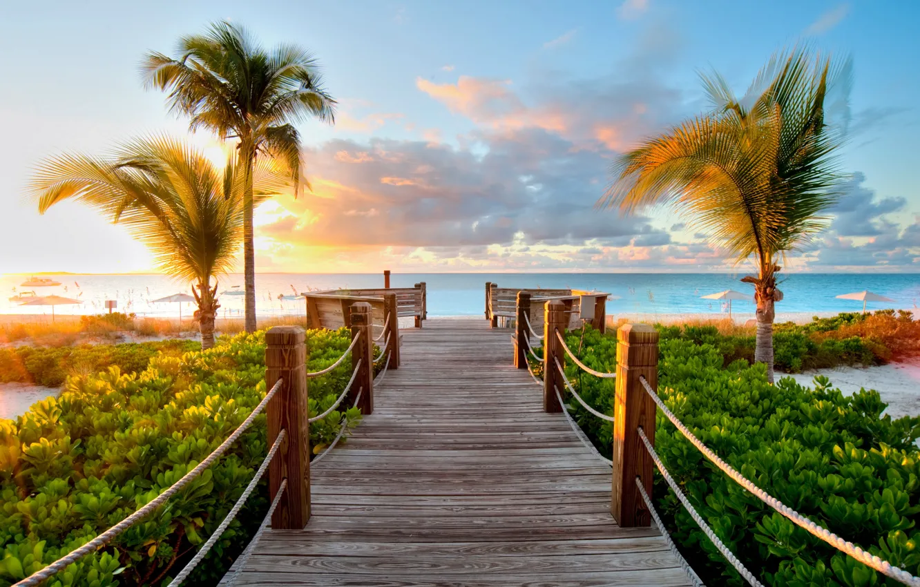 Photo wallpaper sea, greens, the sun, bridge, palm trees, Caribbean