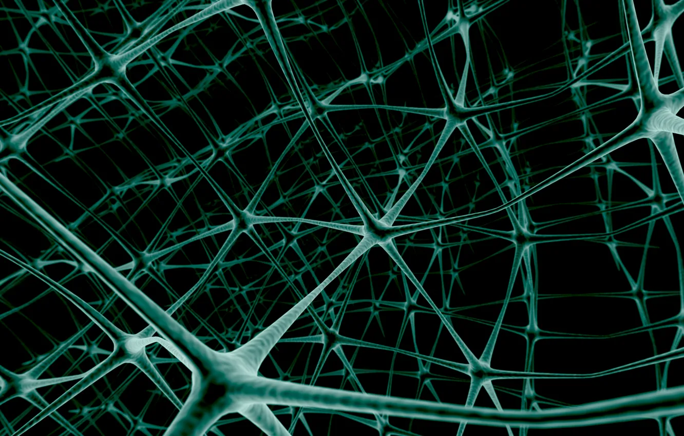 Photo wallpaper network, neurons, link