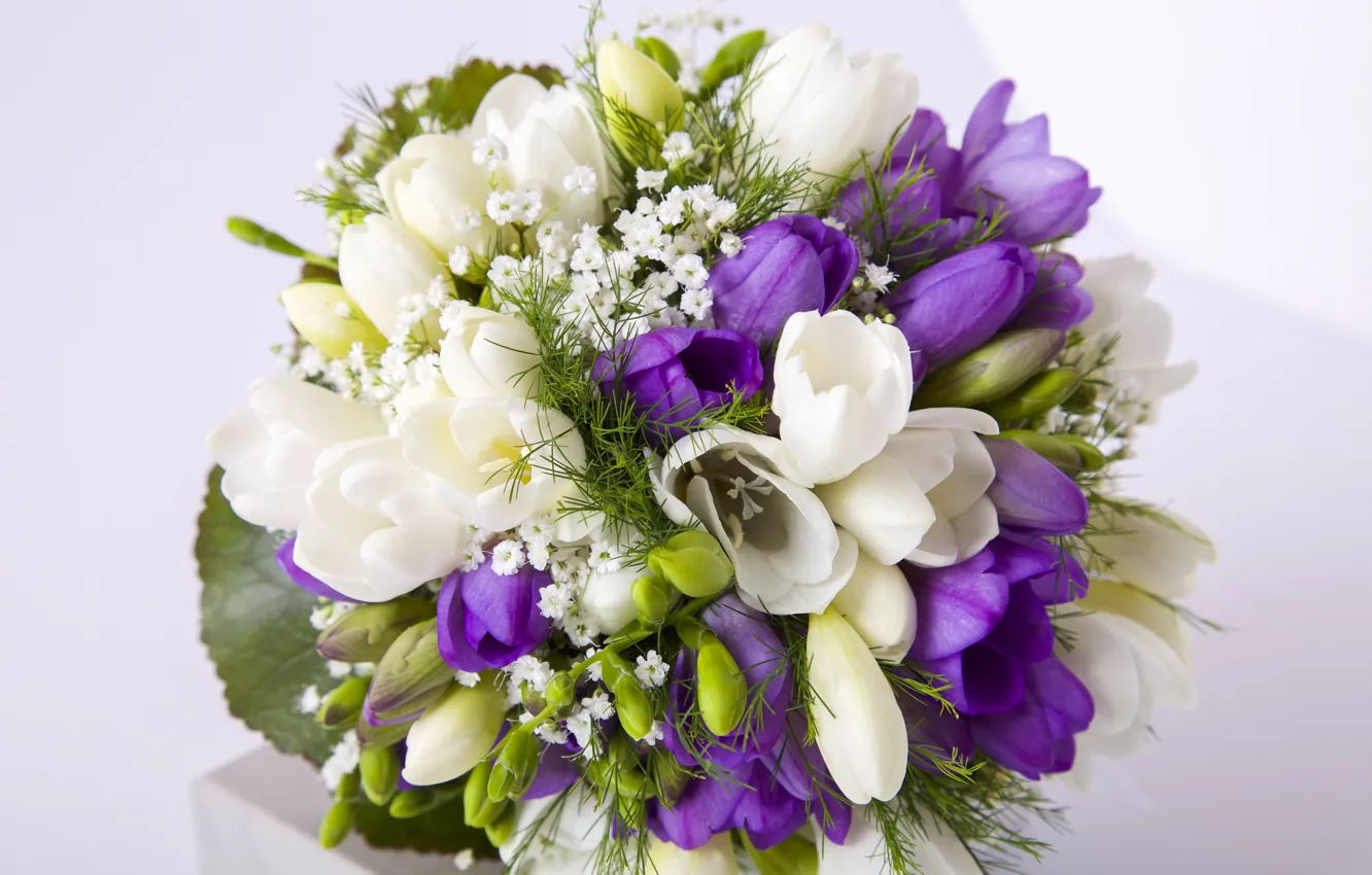 Photo wallpaper bouquet, white, purple, freesia, Bouquets, Freesia