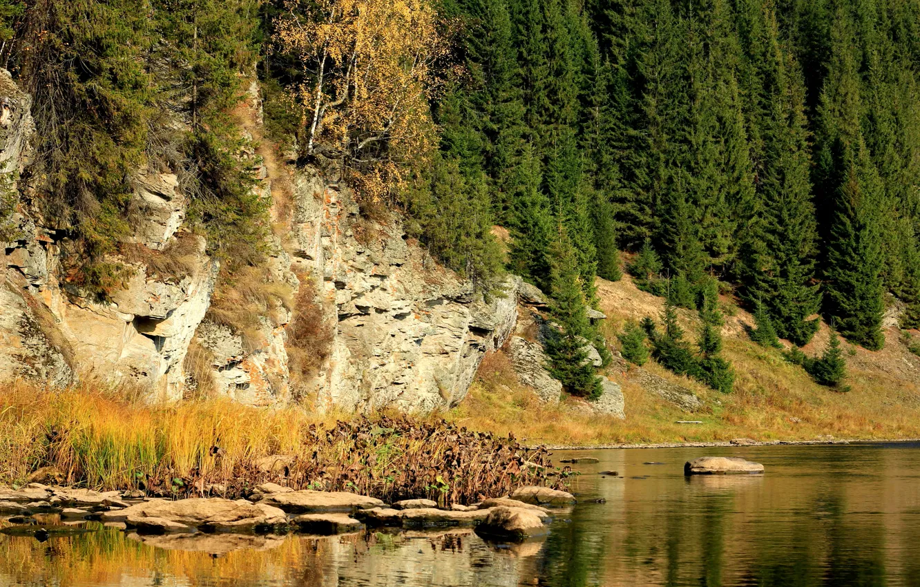 Photo wallpaper autumn, trees, river, stones, rocks, Russia, Perm Krai, The Koiva