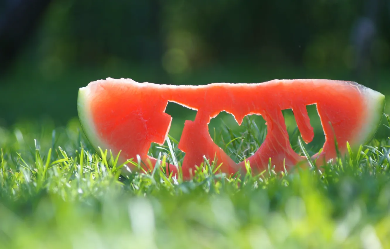 Photo wallpaper grass, watermelon, slice, i love you
