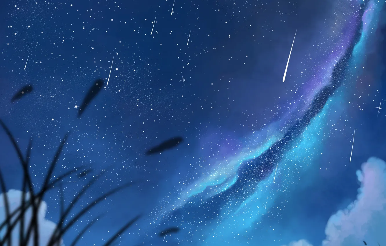 Wallpaper the sky, girl, stars, clouds, night, anime, art, pair, guy, the milky  way, two, dias mardianto, donsaid images for desktop, section арт - download