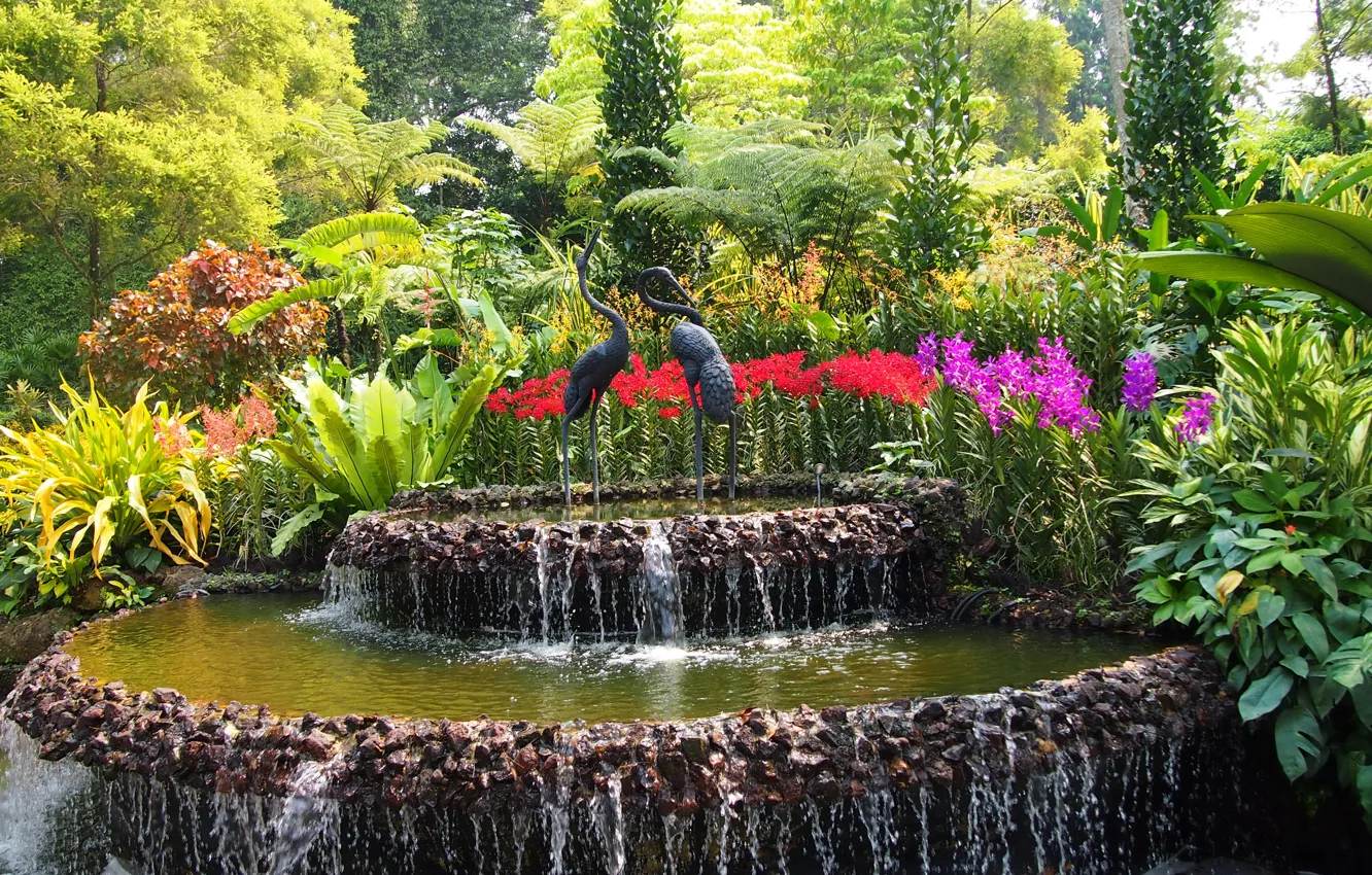 Photo wallpaper trees, flowers, birds, garden, Singapore, fountain, the bushes, sculpture, Botanic Gardens
