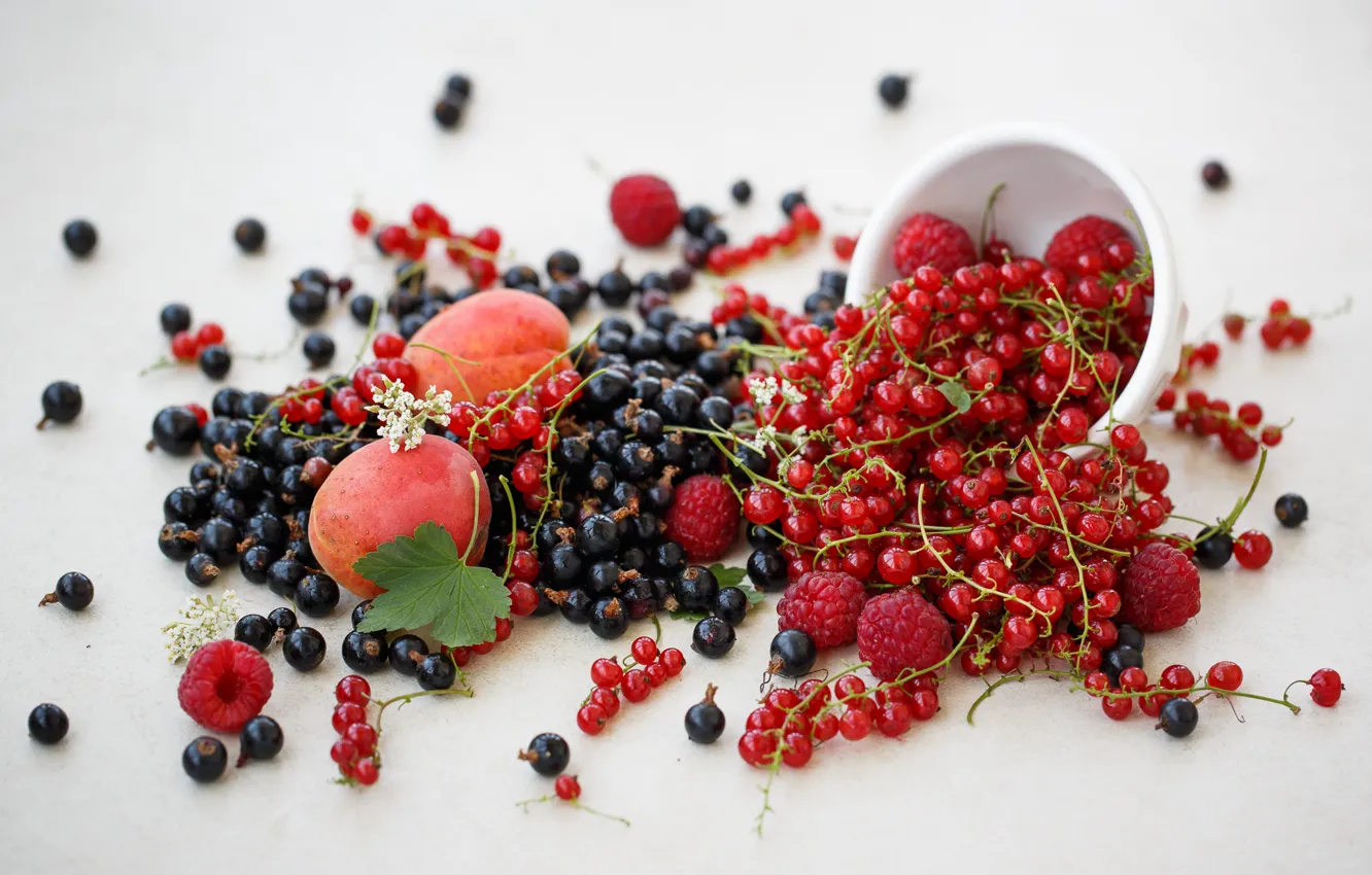 Photo wallpaper berries, raspberry, black, fruit, red, currants, nectarine, Julia Khusainova