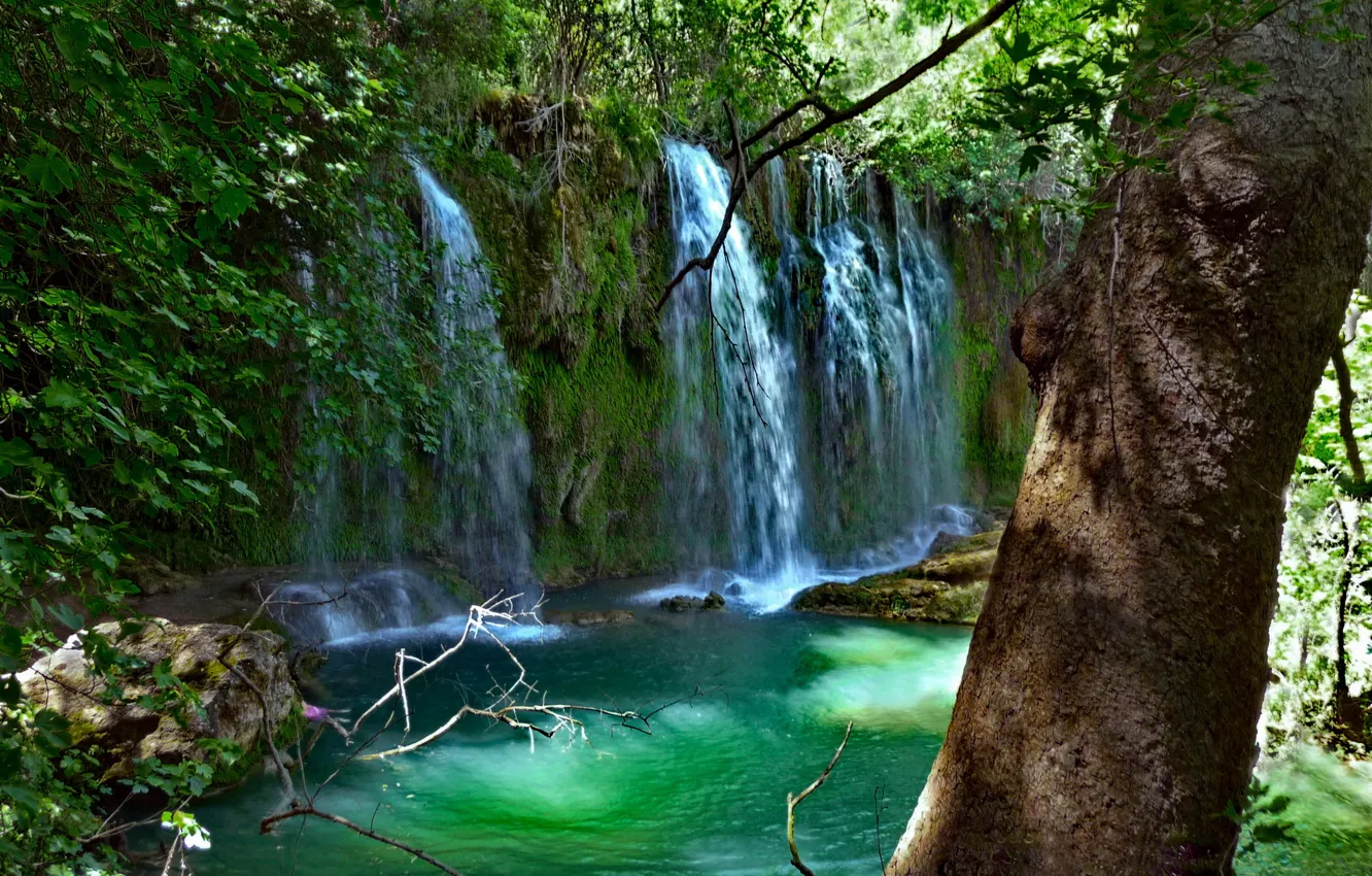 Photo wallpaper greens, leaves, water, branches, stones, tree, waterfall, moss, Turkey, Antalya, Kurşunlu, Kursunlu Waterfall Nature Park