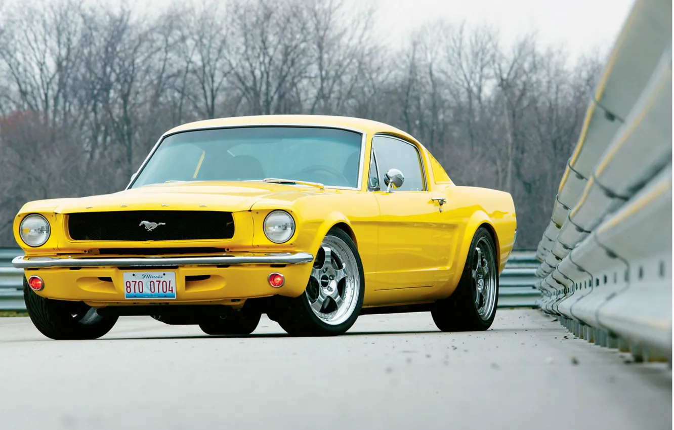 Photo wallpaper Wallpaper, Mustang, Ford, Muscle, Car, 1965, wallpapers